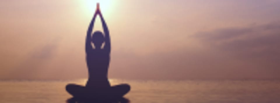 Yoga Under the Palms logo