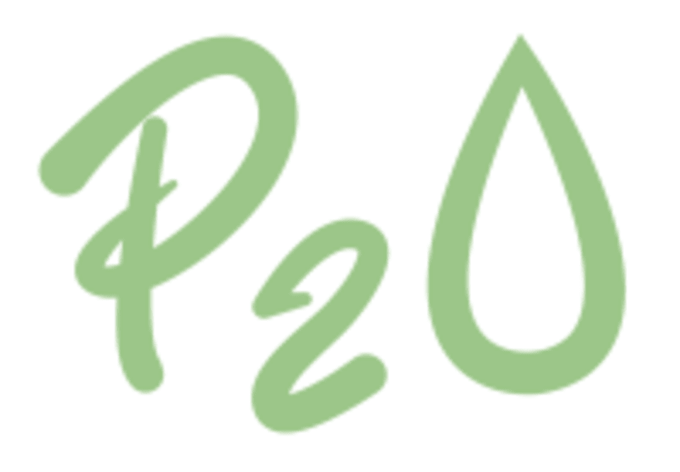 P2O Hot Pilates & Fitness logo