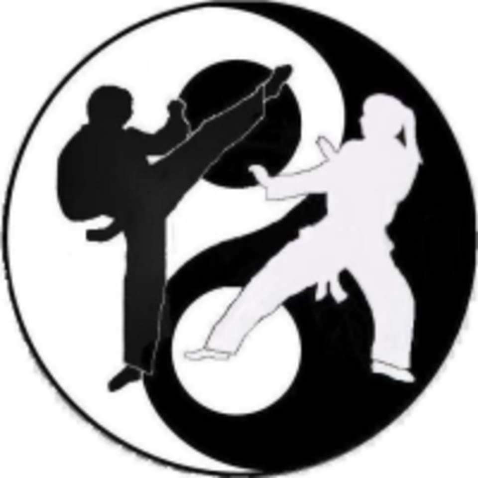 Palmer Fitness logo