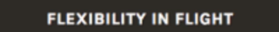 Flexibility in Flight, LLC logo