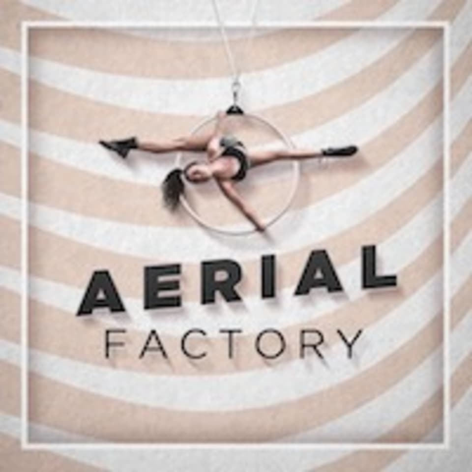 Aerial Factory logo