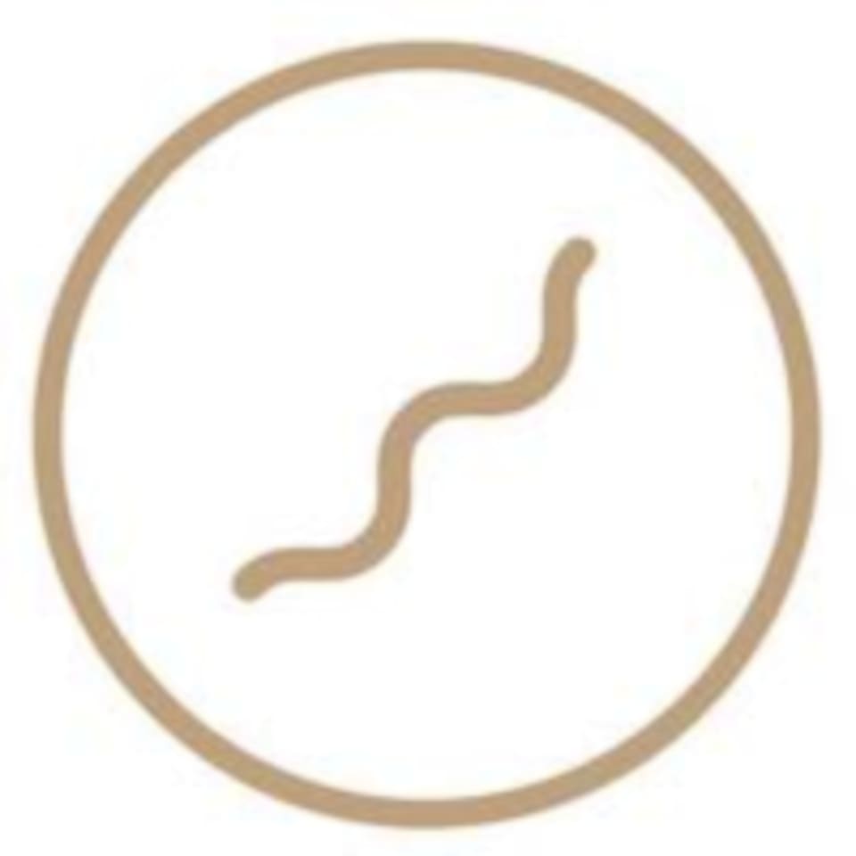 The Flow Studio logo