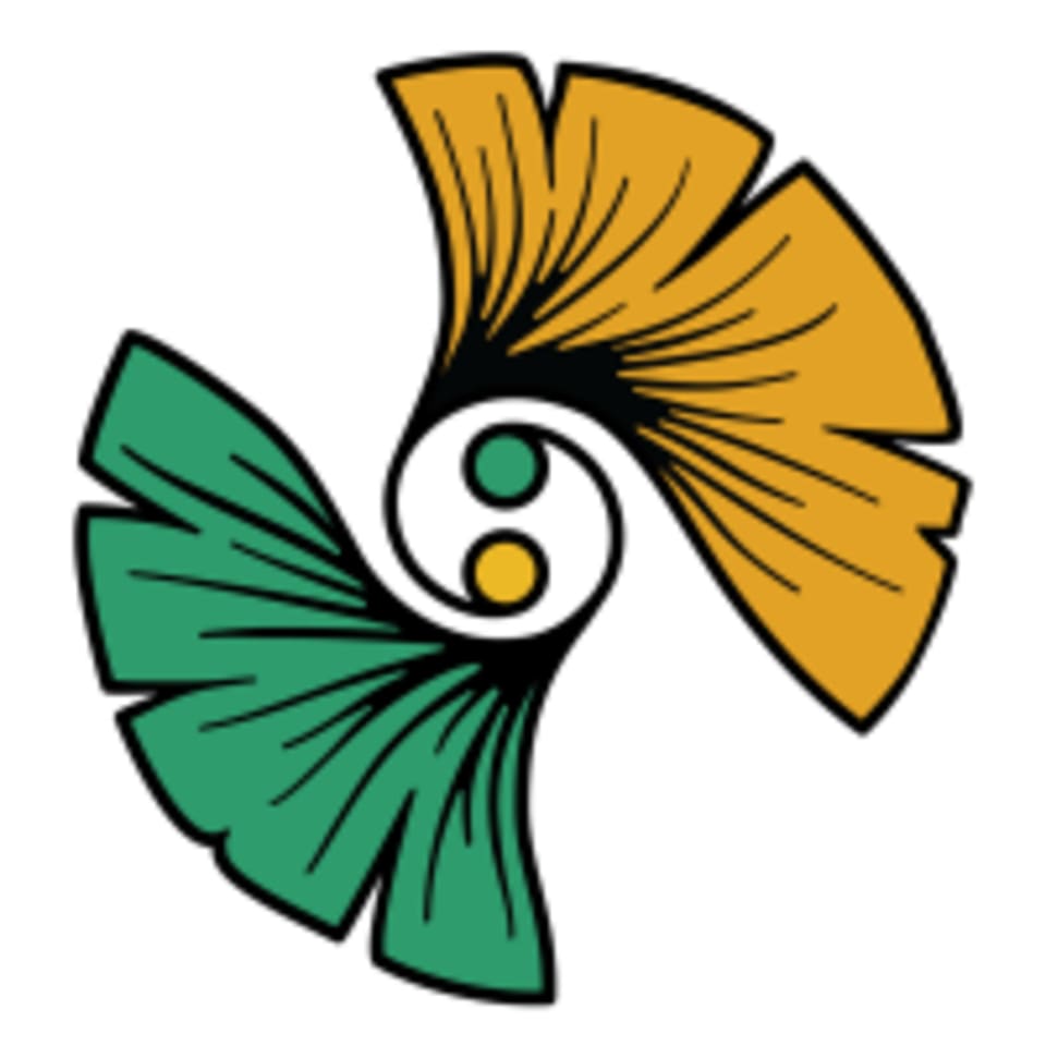 Classic City Karate logo