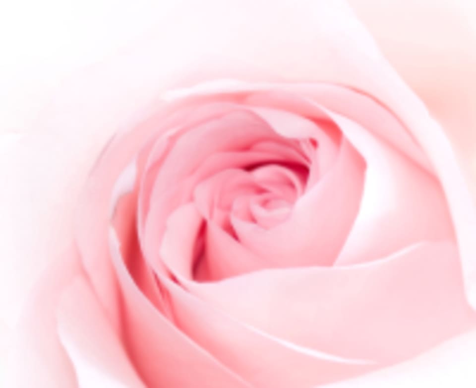 Rose Ela Studio logo