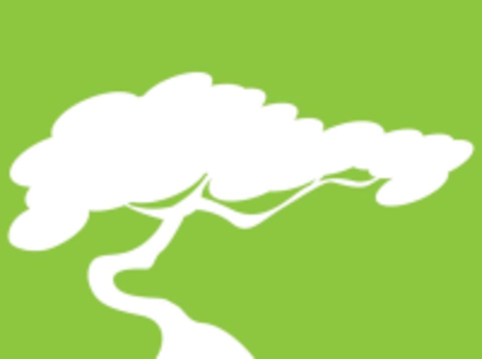 Reef Point Yoga logo