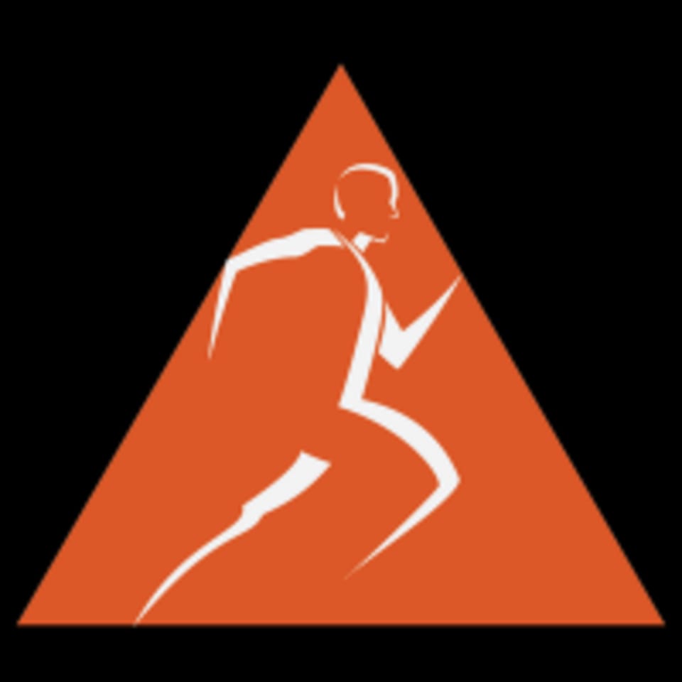 Triplex Training logo