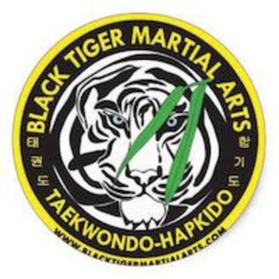 Black Tiger Martial Arts logo