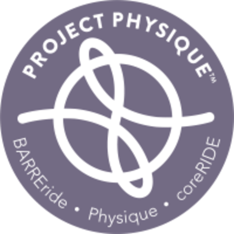 Project Physique logo