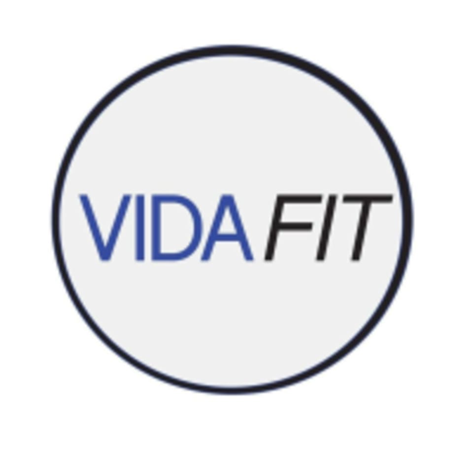 Vida Fit LLC logo