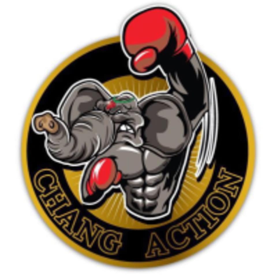 Chang Action logo