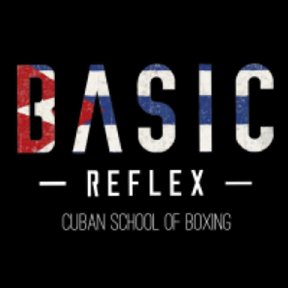 Basic Reflex logo