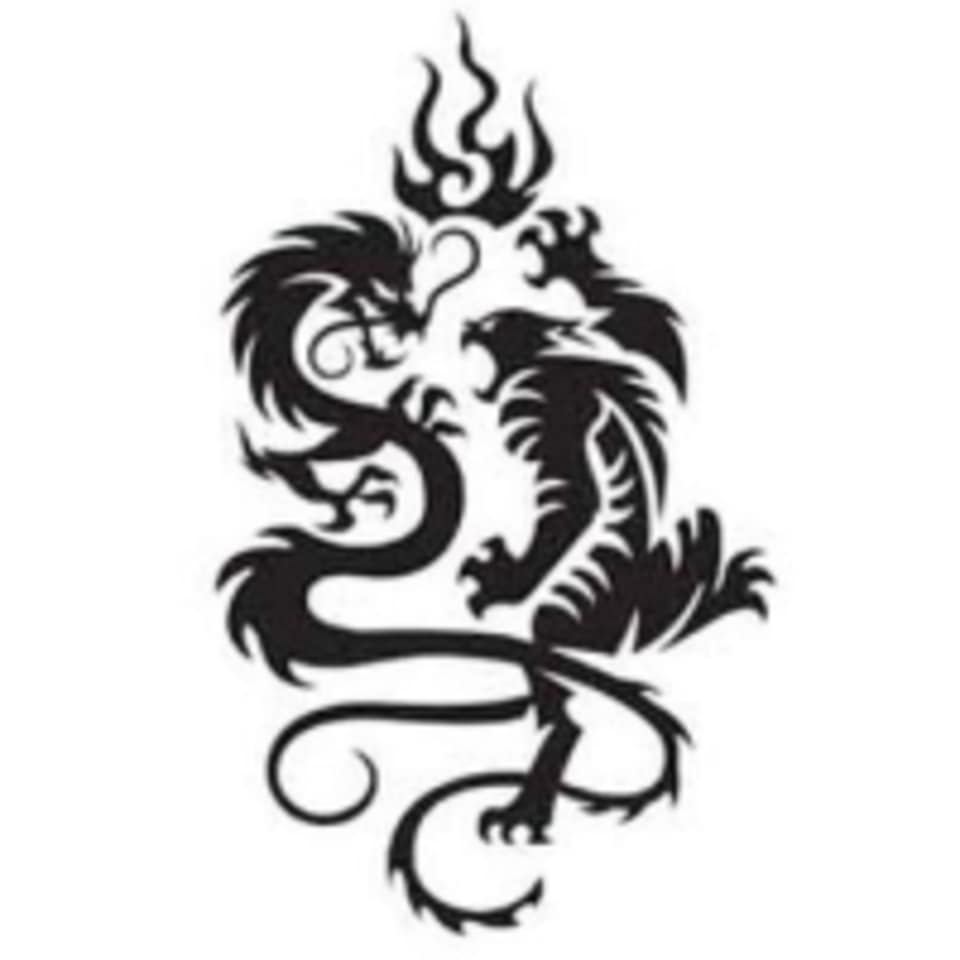 Boca Raton Karate & Kickboxing Academy logo