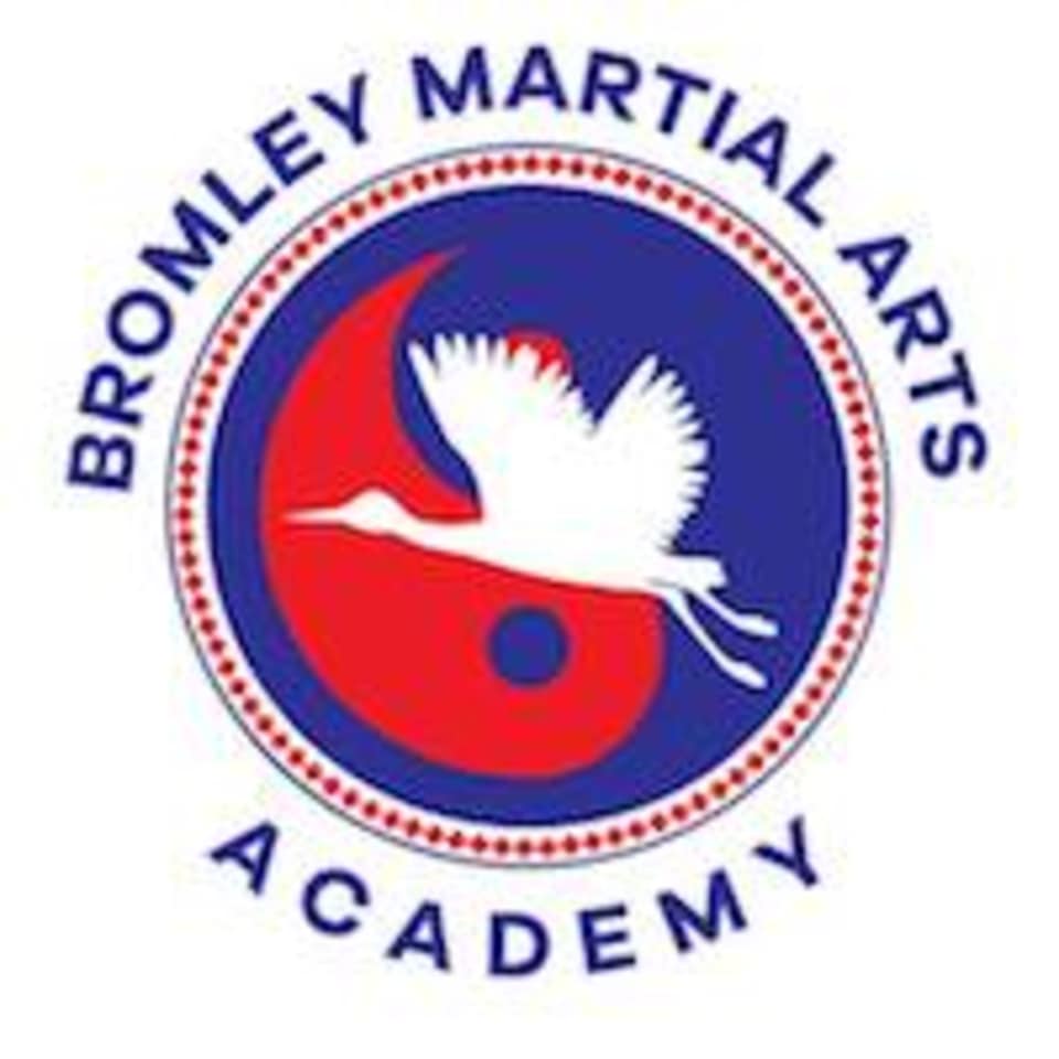 Bromley Martial Arts Academy logo