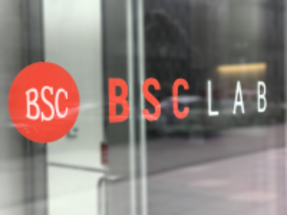 BSC Lab (featuring BFX) logo