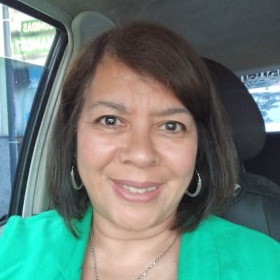 Profesor Lourdes Gomez