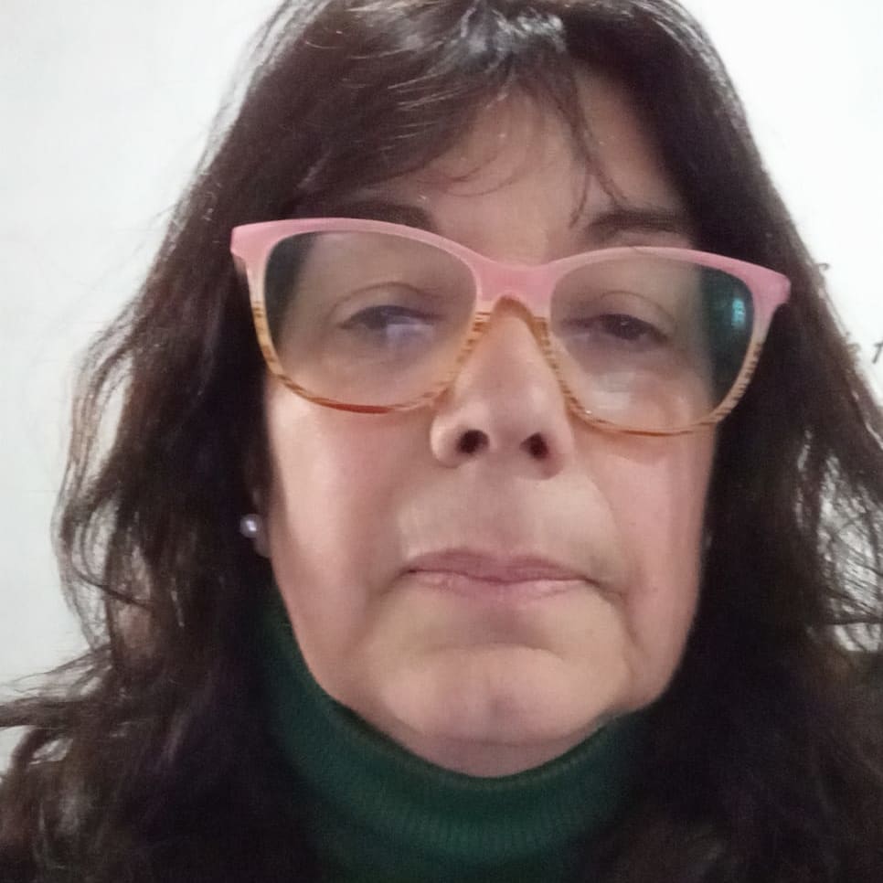 Profesor Viviana Ruiz