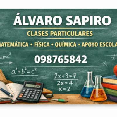 Profesor alvaro sapiro liceo facultad contabilidad economia
