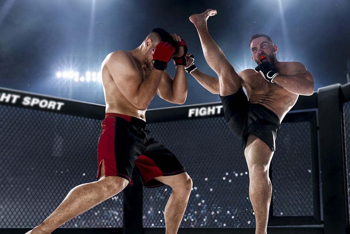 Next UFC Pay-Per-View on DIRECTV Epic Action for Your Busines