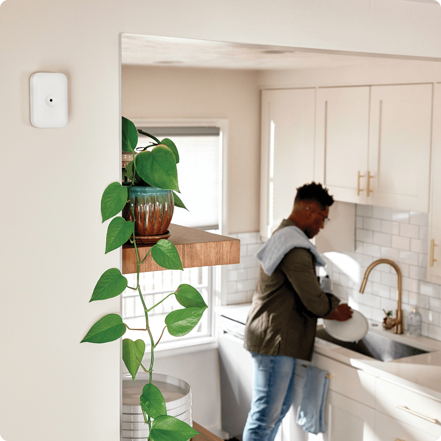 Vivint glass break sensor with kitchen in the background