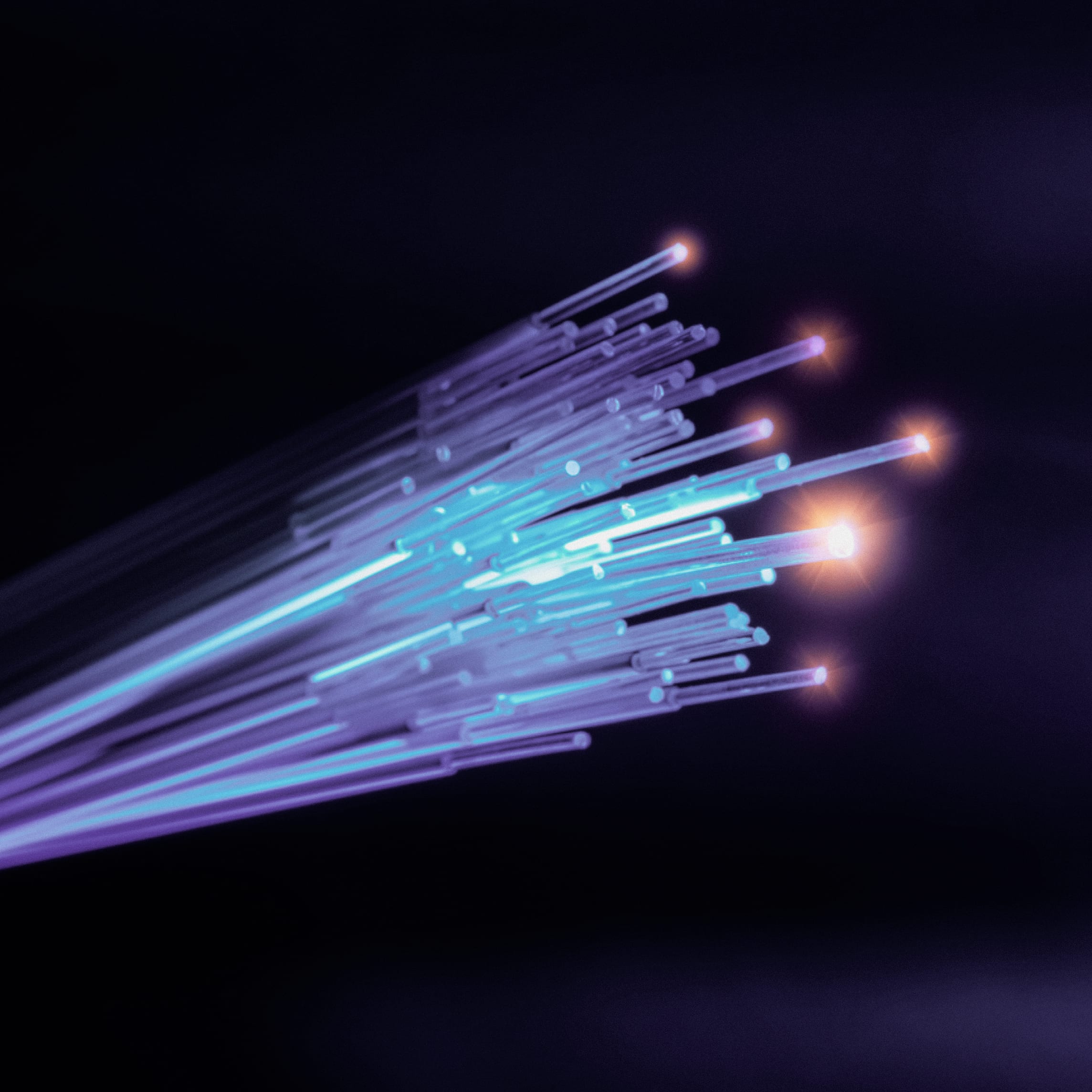 Close up image of optic cables