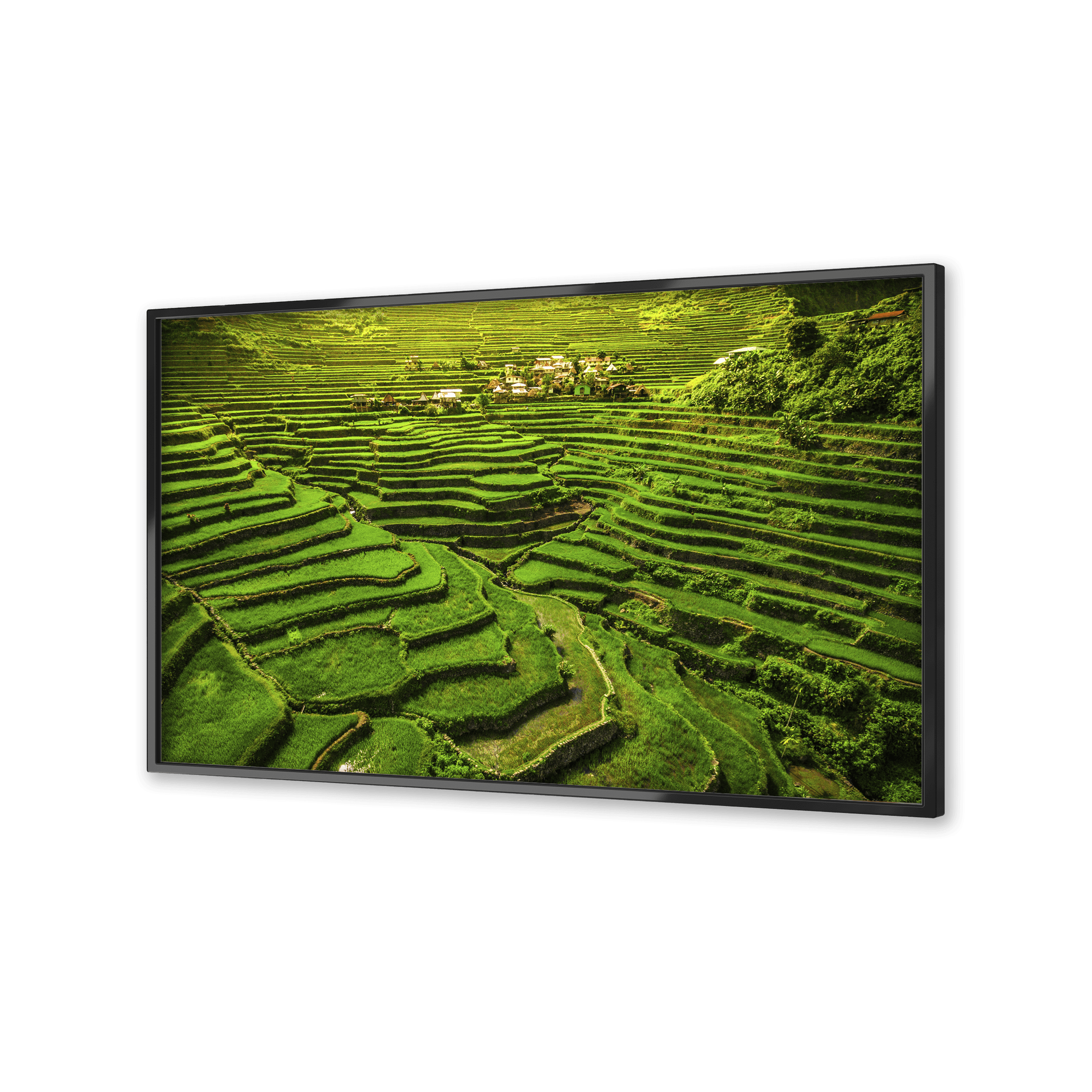 Image of terraced rice fields on a flatscreen TV