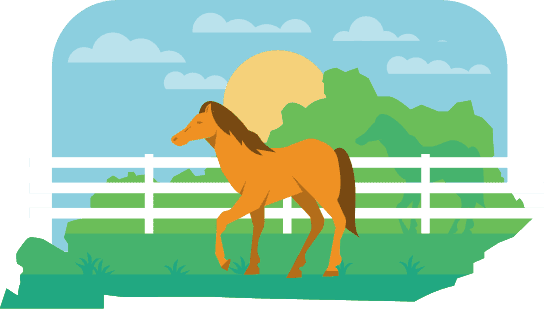 Horse in field illustration