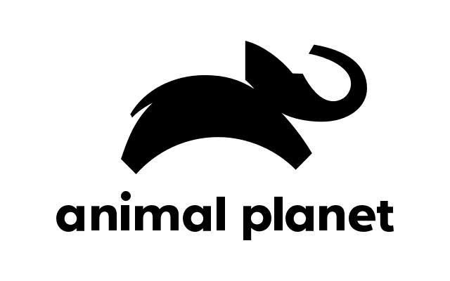 Animal Planet Channel on DISH TV | DISH Channel Guide