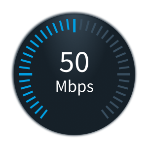 Speed gauge measuring 50 Mbps