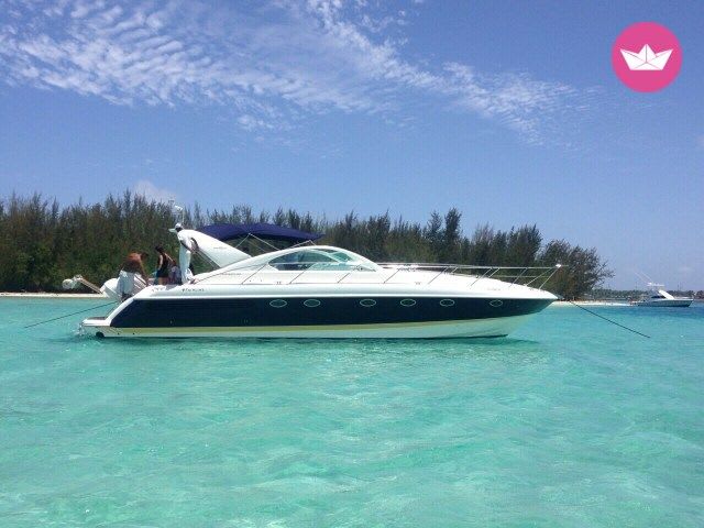 Cover of activity #5495