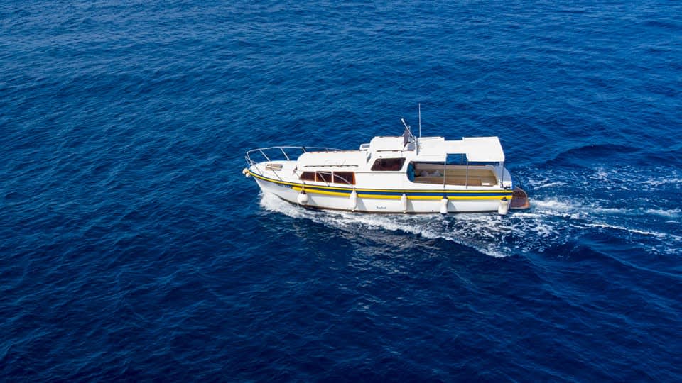 Cover of activity #1878