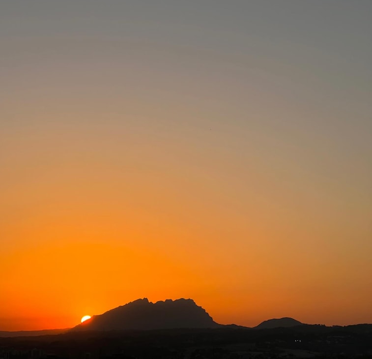 Cover of activity #4800