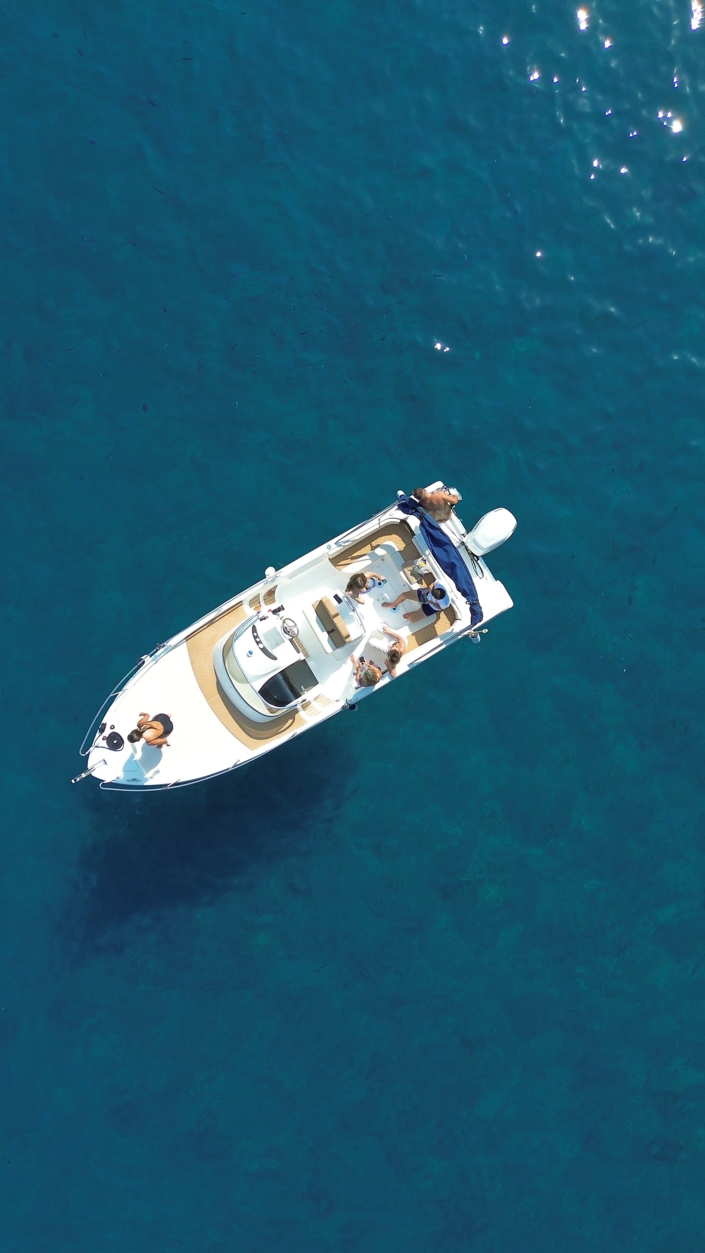 Cover of activity #5129