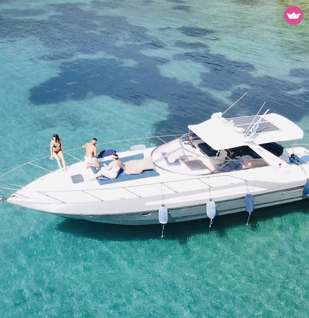 Cover of activity #10845