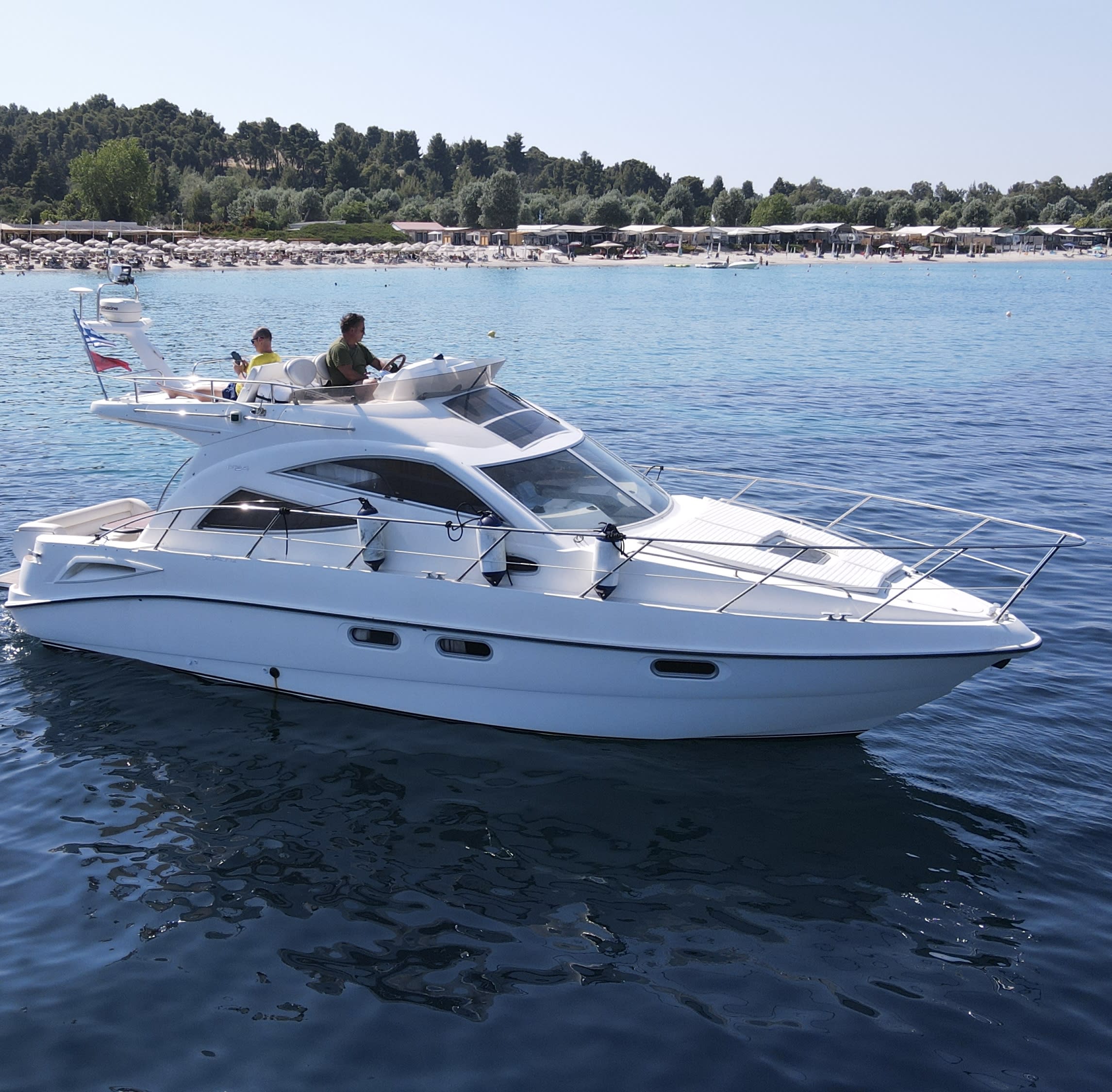 Cover of activity #1446