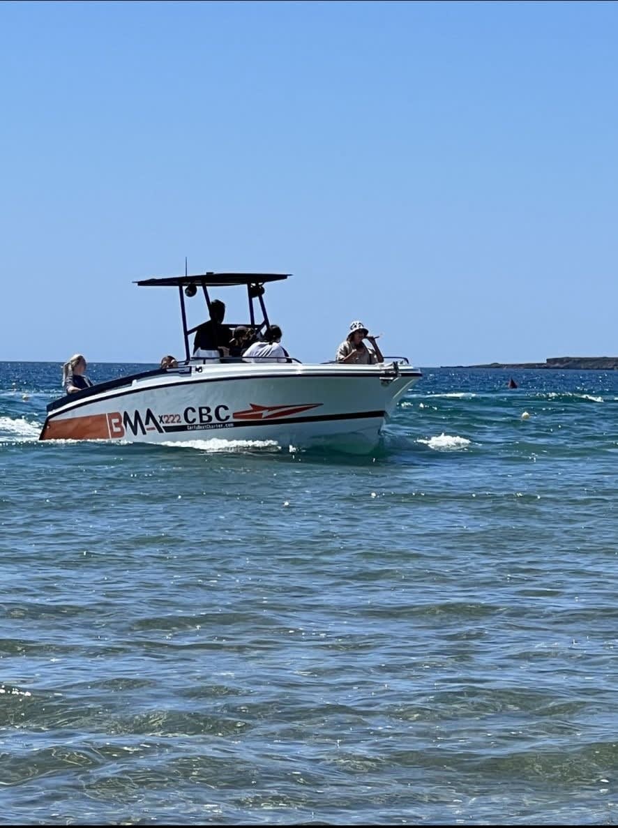 Cover of activity #14184