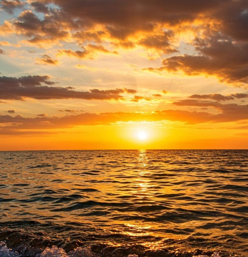 Cover of activity #4524