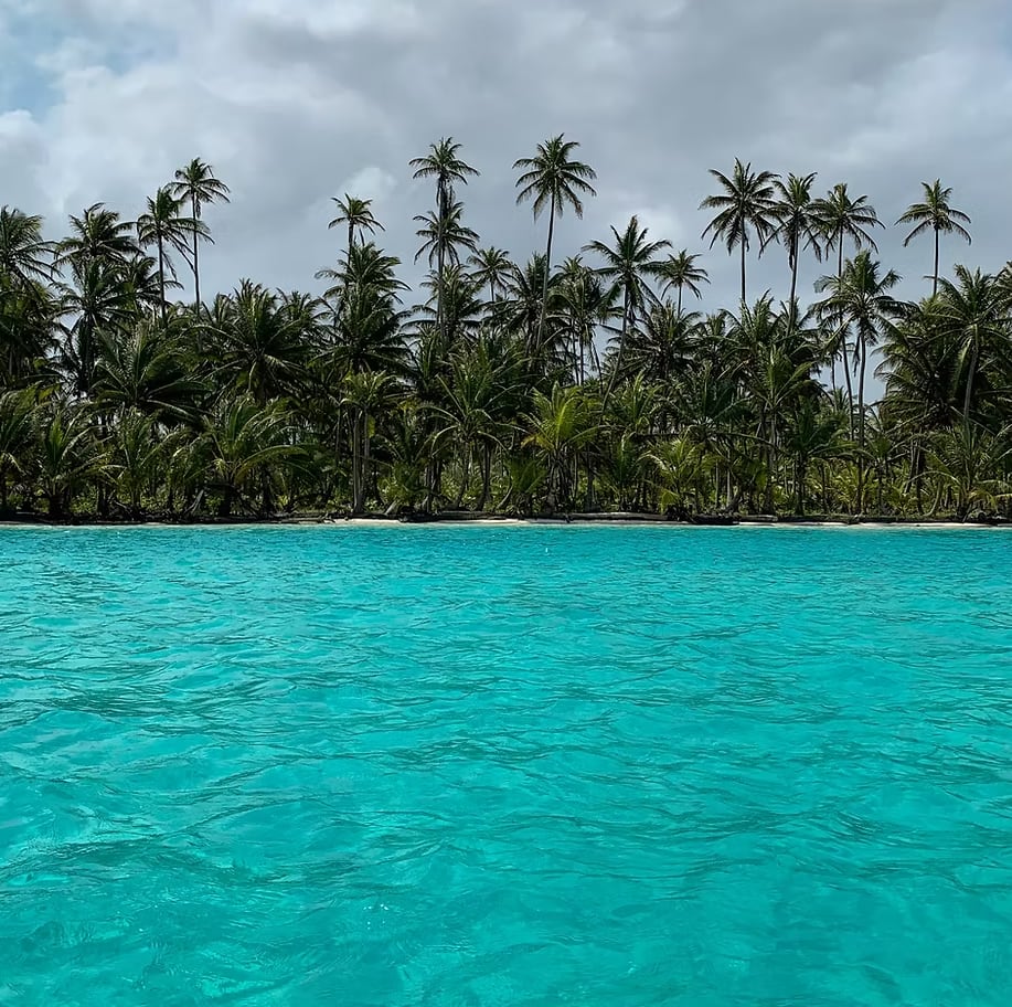 Cover of activity #5185