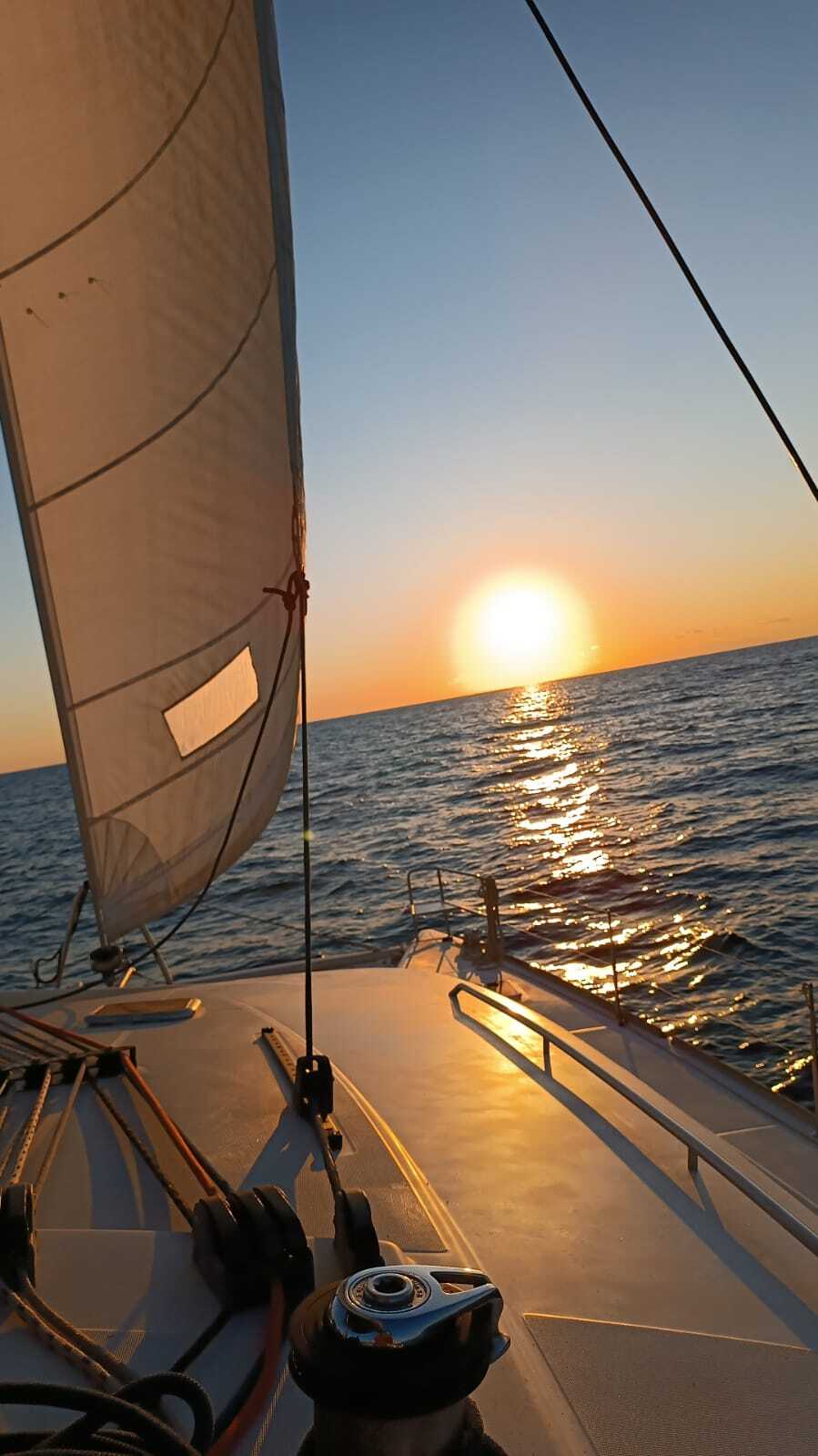 Cover of activity #4181