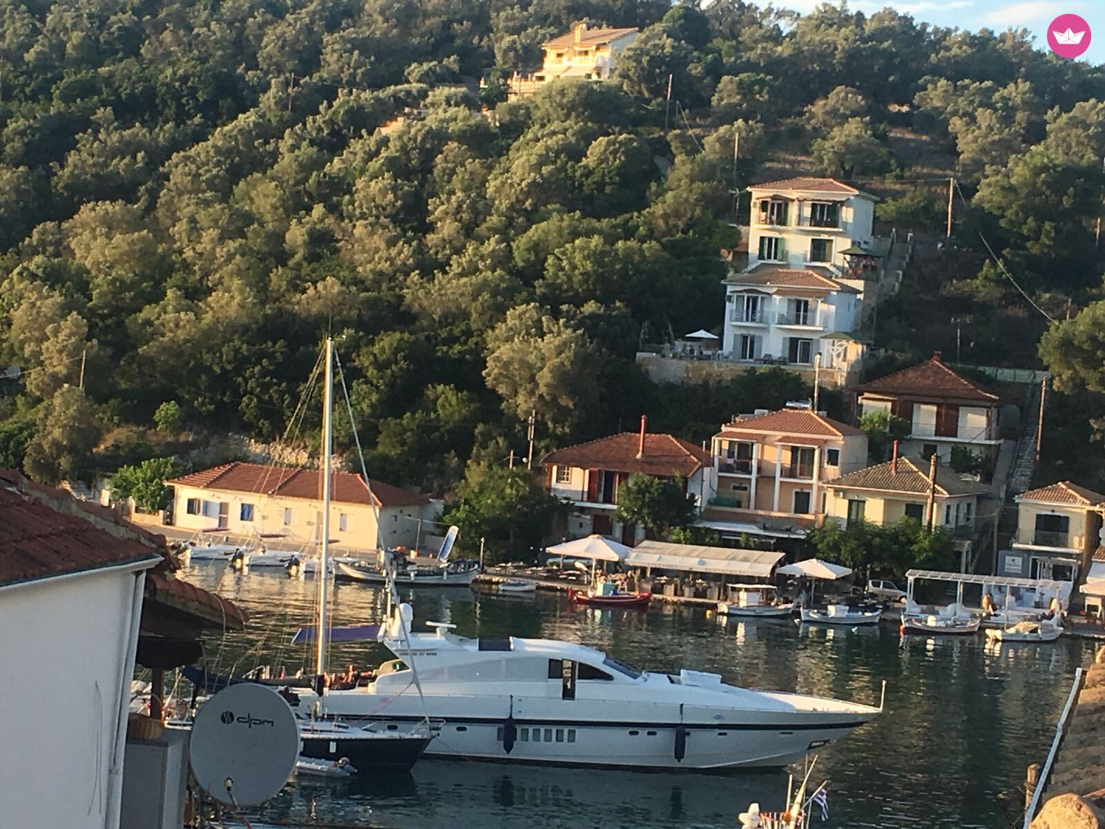 Cover of activity #3984