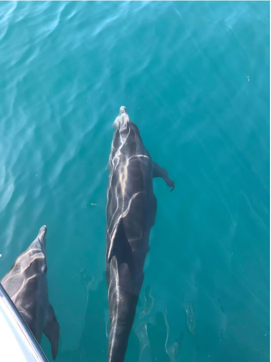 Cover of activity #3967