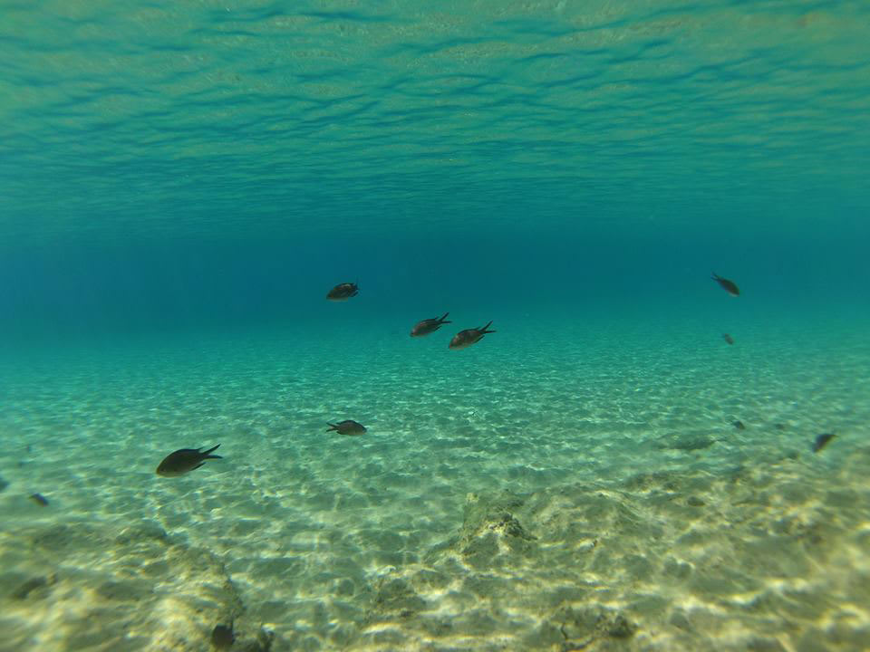 Cover of activity #6766