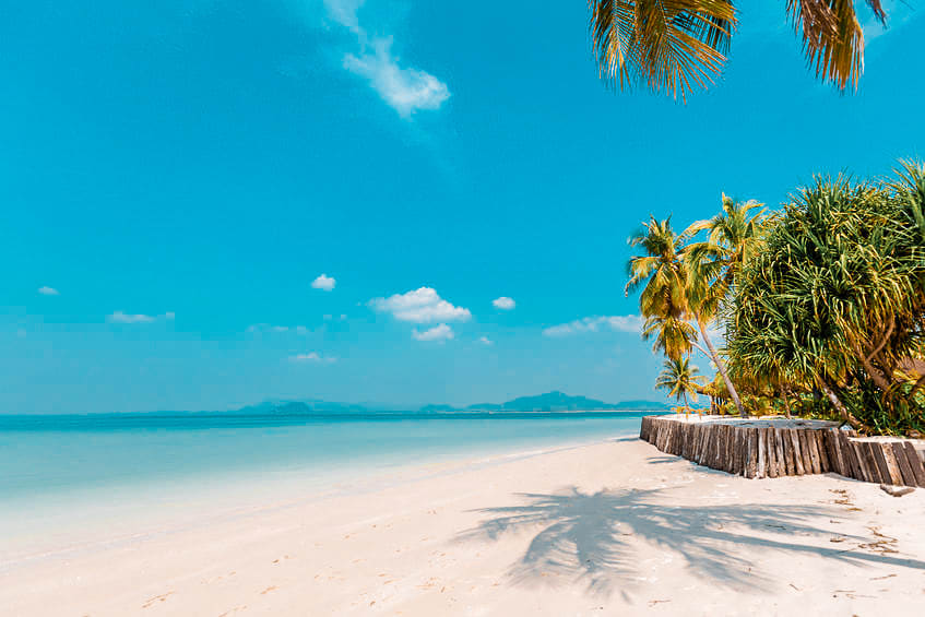 Cover of activity #7480