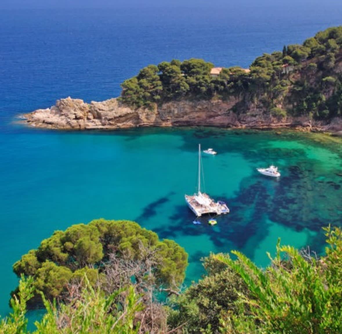 Cover of activity #7353