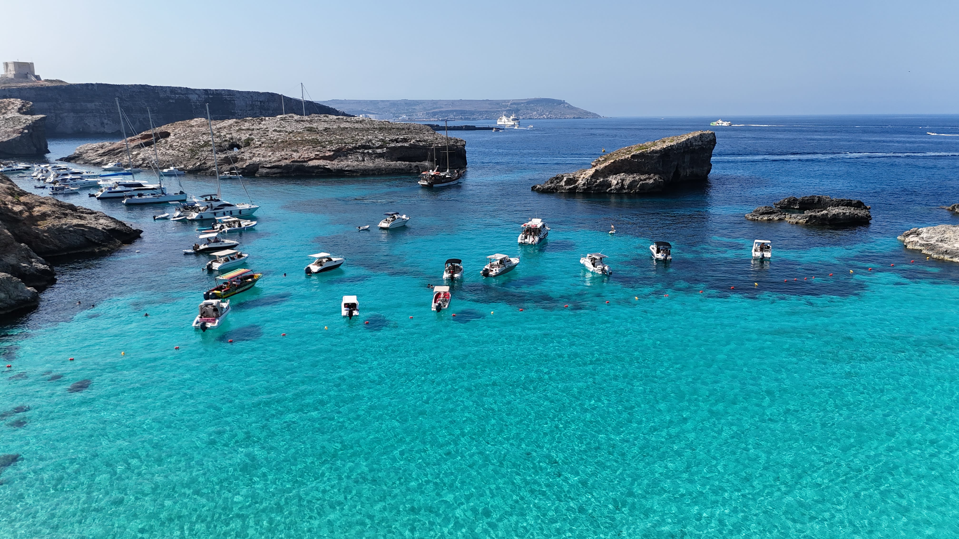 Cover of activity #4321