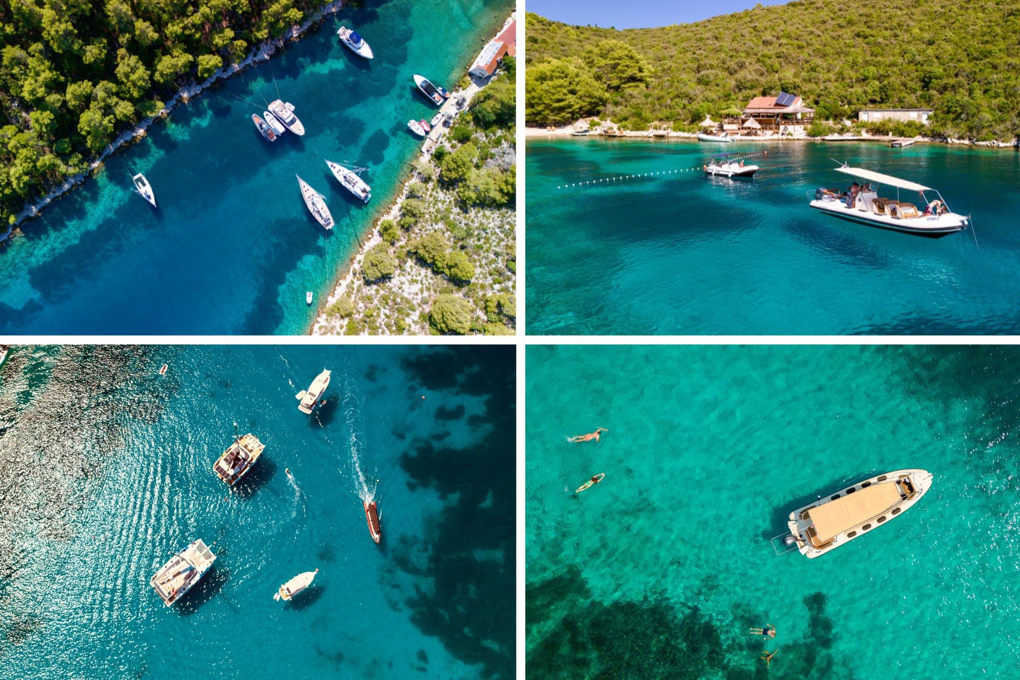 Cover of activity #10912