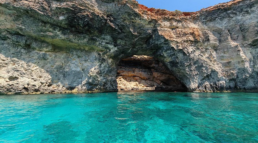 Cover of activity #1548