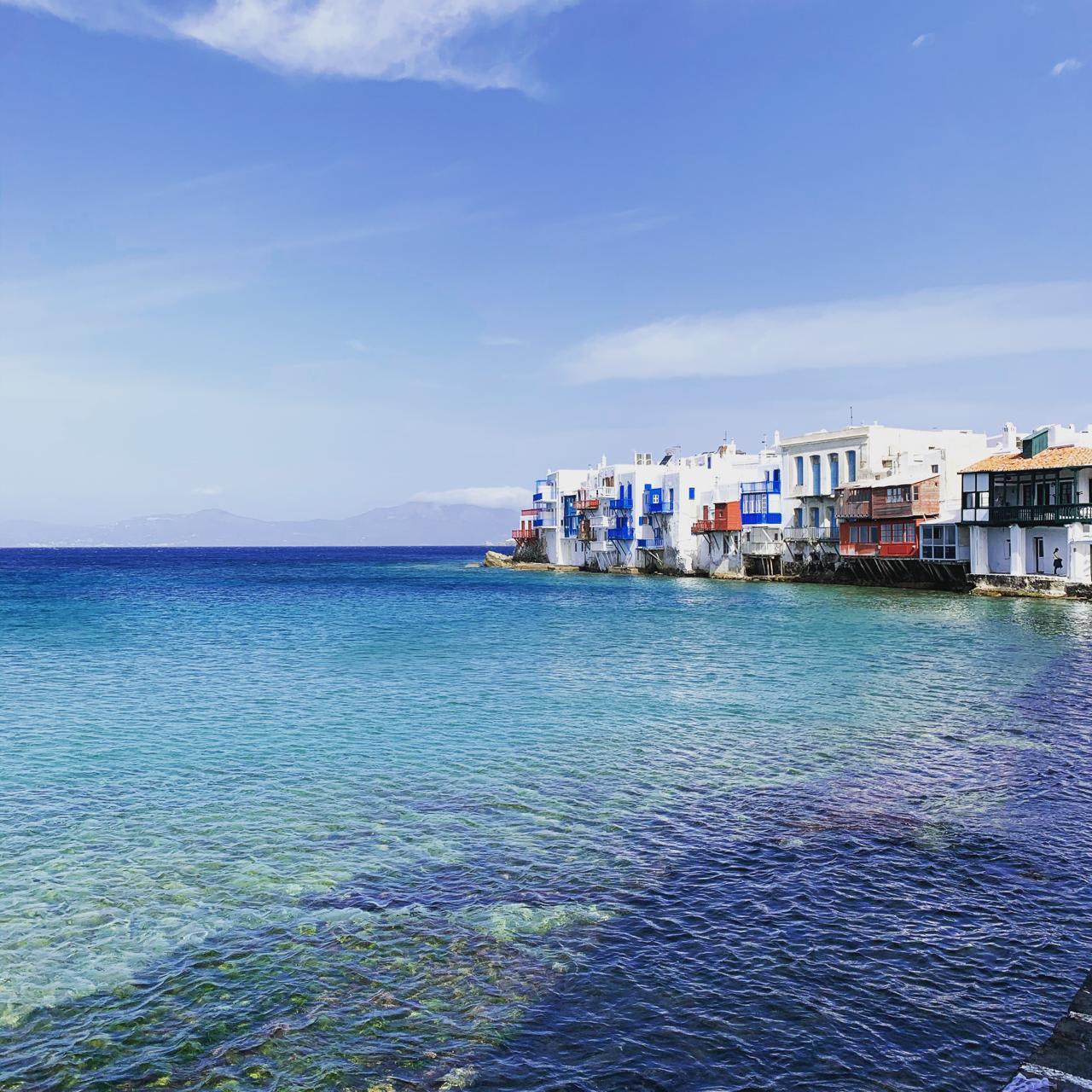 Cover of activity #539