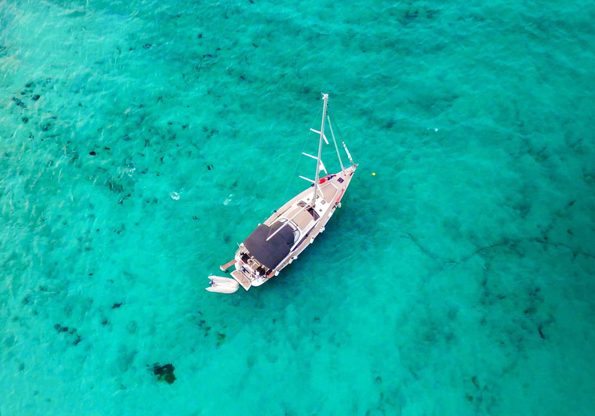 Cover of activity #14682