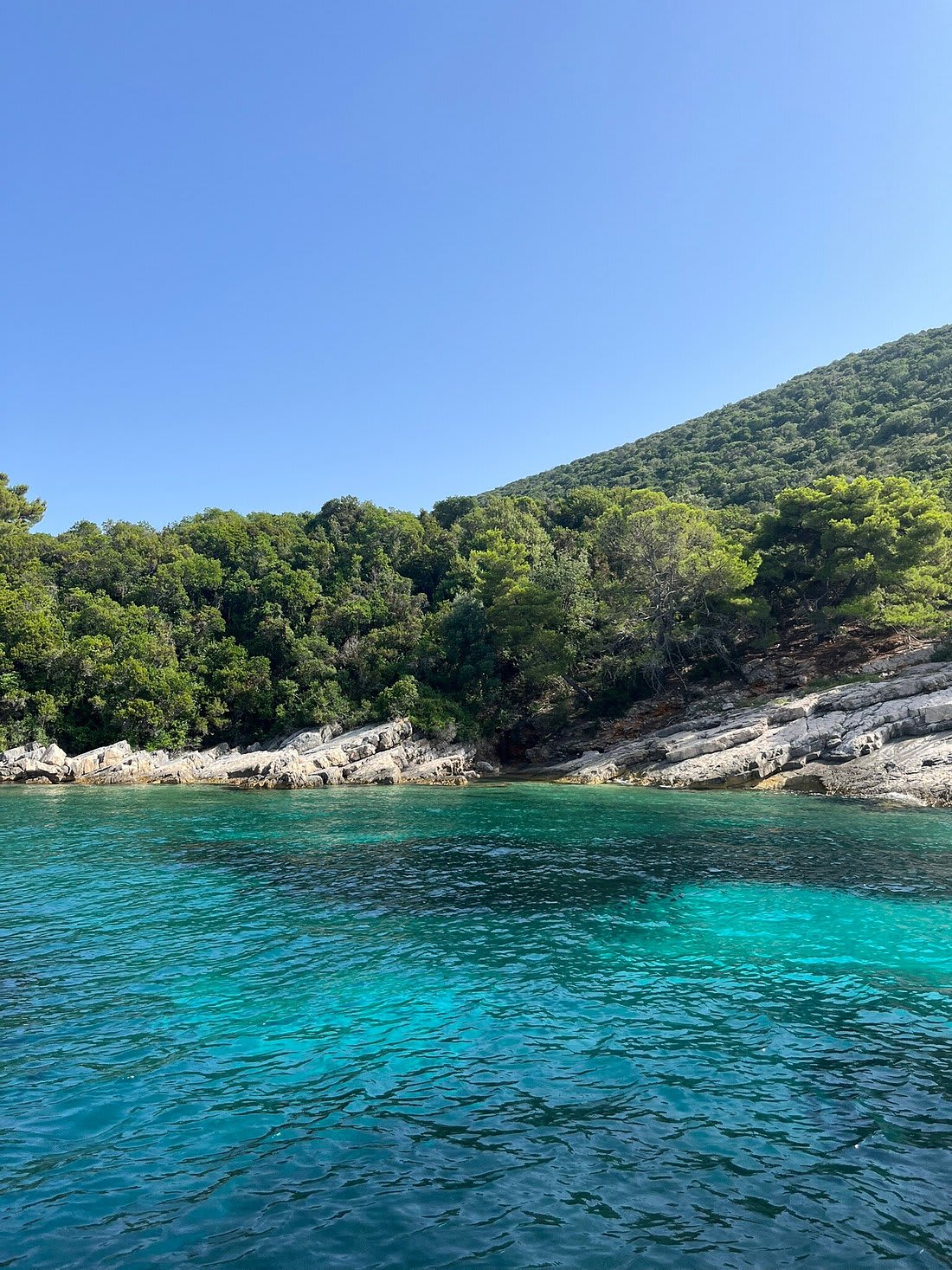 Cover of activity #2091