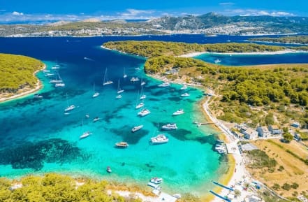 Cover of activity #12101